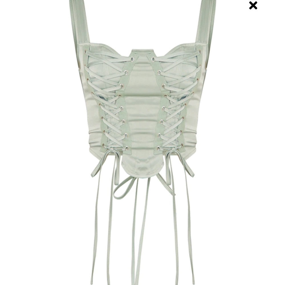 Pretty little thing corset